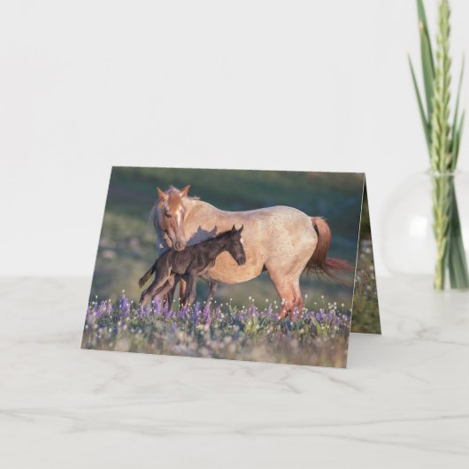 Wild Horse Wenskaart - Electra & Pandora Kaart (Voorkant)