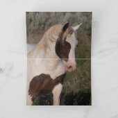 Wild Horse Wenskaart - Painted Friends Kaart (Binnen)