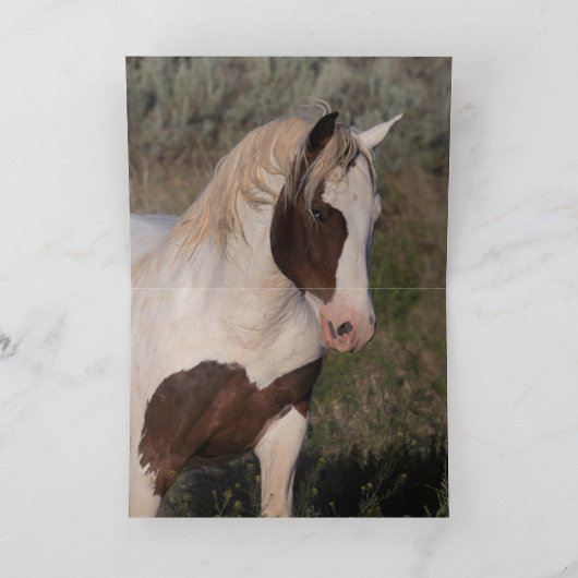 Wild Horse Wenskaart - Painted Friends Kaart (Binnen)