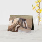 Wild Horse Wenskaart - Painted Friends Kaart (Gele Bloem)