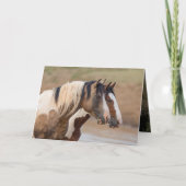 Wild Horse Wenskaart - Painted Friends Kaart (Voorkant)