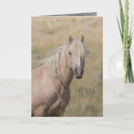 Wild Horse Wenskaart - Wild Palomino Stallion Kaart