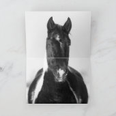 Wild Horse Wenskaart - Winterverf Kaart (Binnen)