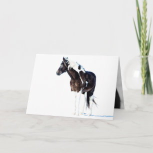 Wild Horse Wenskaart - Winterverf Kaart