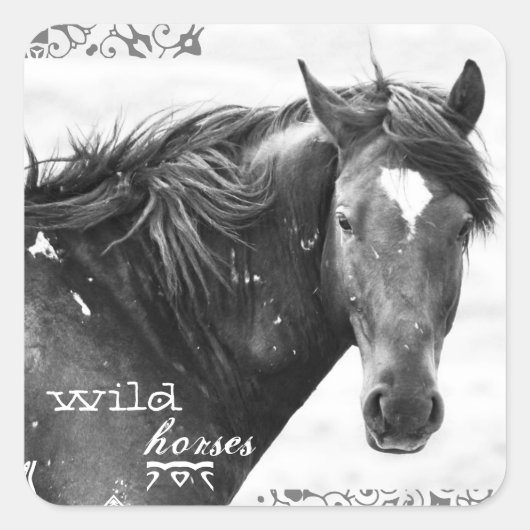 Wild Horse Zuidwest Foto Stickers (Voorkant)