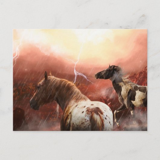 WILD HORSES DESERT STORM BRIEFKAART (Voorkant)