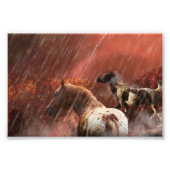WILD HORSES DESERT STORM FOTO AFDRUK (Voorkant)
