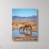 Wild Horses Desert Water Reflection Art Canvas Afdruk (Voorkant)