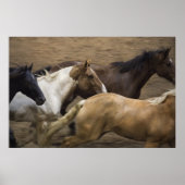 Wild Horses fine art print (Voorkant)