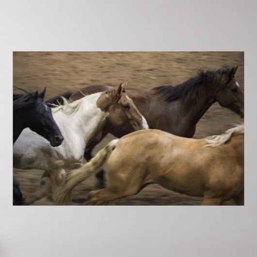 Wild Horses fine art print (Voorkant)