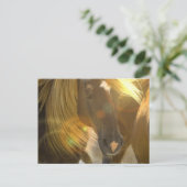 Wild Horses Foto Briefkaart (Staand voorkant)
