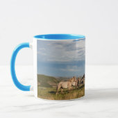 Wild Horses in Theodore Roosevelt National Park Mok (Links)