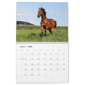 Wild Horses Kalender (Mar 2026)