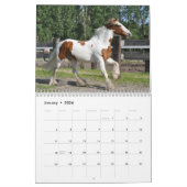 Wild Horses Kalender (Jan 2026)