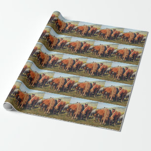 Wild Horses Livno Natuur Scène Cadeaupapier