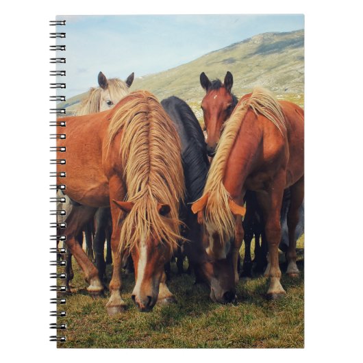 Wild Horses Livno Natuur Scène Notitieboek (Voorkant)