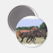 Wild Horses Magnet (Voorkant / Achterkant)