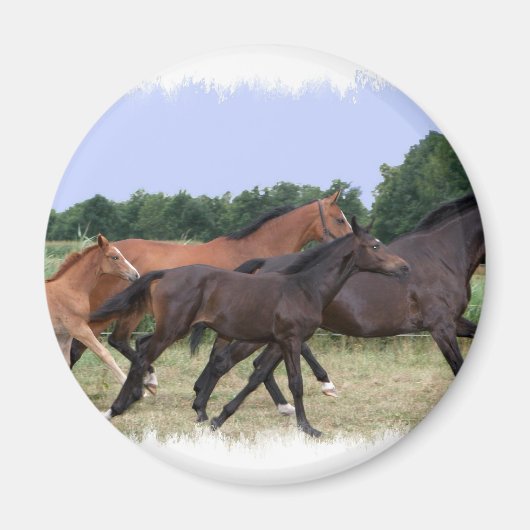 Wild Horses Magnet (Voorkant)