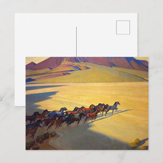 Wild Horses of Nevada door Maynard Dixon Briefkaart (Voorkant / Achterkant)