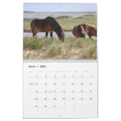 Wild Horses of Sable Island Calendar Kalender (Mar 2026)
