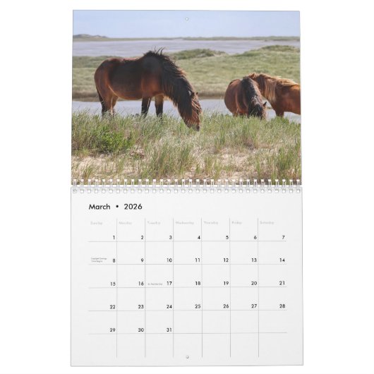 Wild Horses of Sable Island Calendar Kalender (Mar 2026)