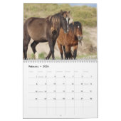 Wild Horses of Sable Island Calendar Kalender (Feb 2026)