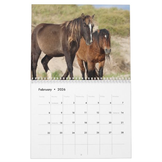 Wild Horses of Sable Island Calendar Kalender (Feb 2026)