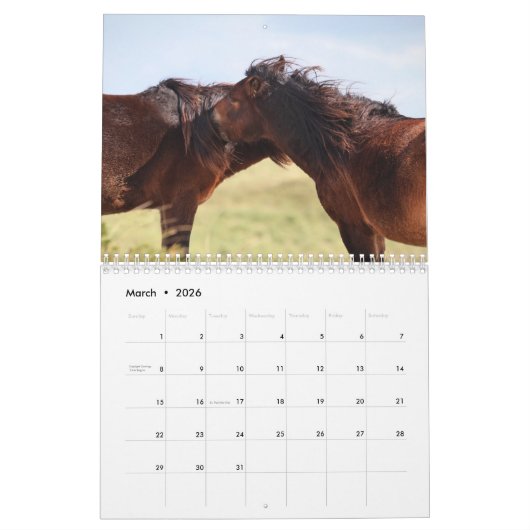 Wild Horses of Sable Island Kalender (Mar 2026)