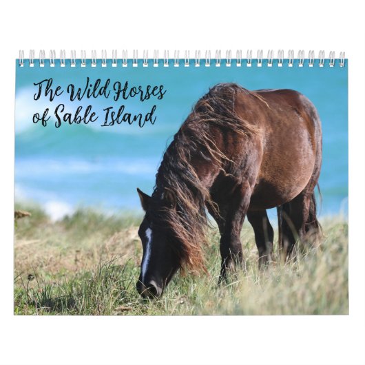 Wild Horses of Sable Island Kalender (Hoes)