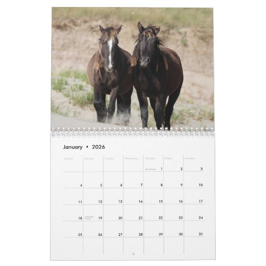 Wild Horses of Sable Island Kalender (Jan 2026)