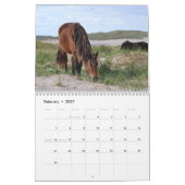 Wild Horses of Sable Island Kalender (Feb 2027)