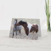 Wild Horses of the American West Kaart (Voorkant)