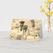 WILD HORSES OF UTAH BLANK CARD FOAL KAART (Gele Bloem)