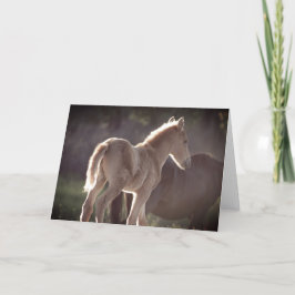 WILD HORSES OF UTAH FOAL Folded Hartelijk dank Bedankkaart