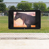 WILD HORSES ONAQUI MOUNTAINS BANNER W/GROMMET (Insitu)