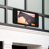 WILD HORSES ONAQUI MOUNTAINS BANNER W/GROMMET (Buitenkant Gebouw)