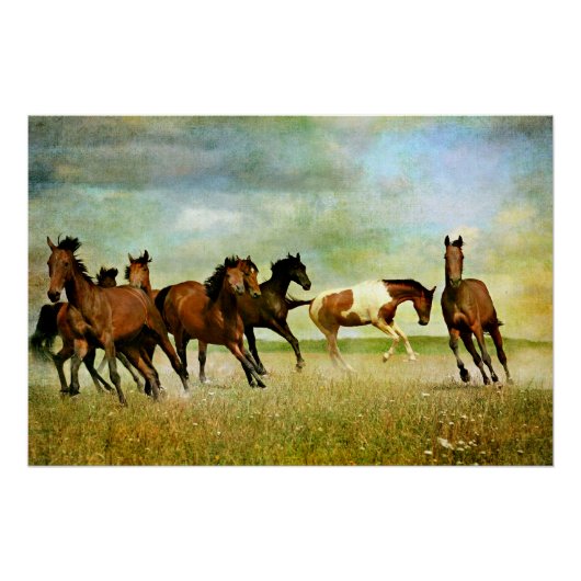 Wild Horses Perfect Poster (Voorkant)