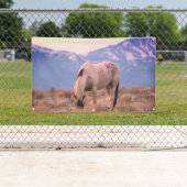 WILD HORSES PINTO IN MOUNTAINES BANNER WALL ART (Insitu)