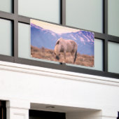 WILD HORSES PINTO IN MOUNTAINES BANNER WALL ART (Buitenkant Gebouw)