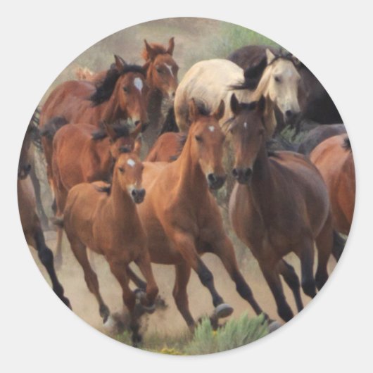 Wild Horses Roundup Ronde Sticker (Voorkant)