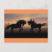 Wild Horses Silhouette Briefkaart (Voorkant)