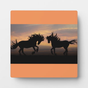 Wild Horses Silhouette Fotoplaat