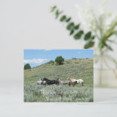 Wild Horses, Theodore Roosevelt NP, North Dakota Briefkaart (Staand voorkant)