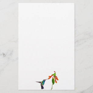 Wild Hummingbird Bird's Art Series Briefpapier