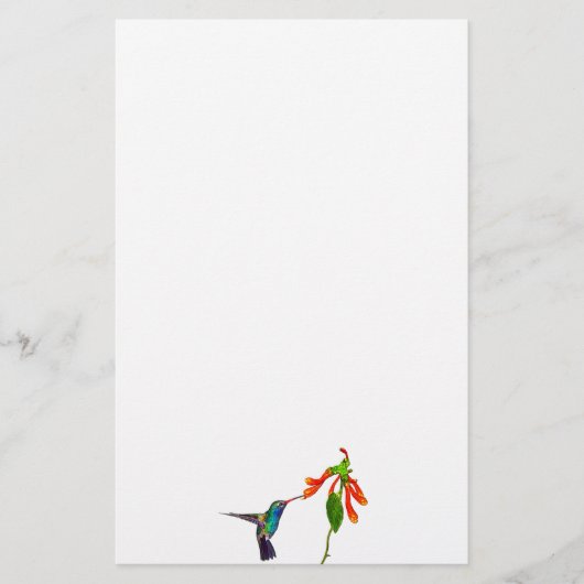 Wild Hummingbird Bird's Art Series Briefpapier (Voorkant)