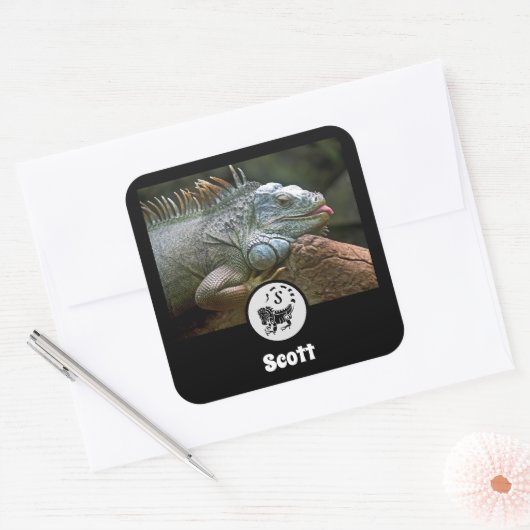 Wild Iguana Silhouette Name Tag Foto Vierkante Sticker (Envelop)