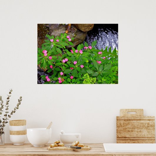 Wild Impatiens en Ferns Poster (Keuken)