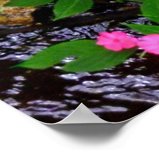 Wild Impatiens en Ferns Poster (Hoek)