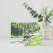 wild in de smokies #72 briefkaart (Staand voorkant)