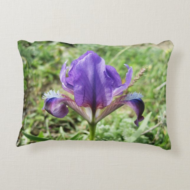 Wild Iris Accent Pillow Accent Kussen (Achterkant)